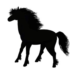 Fototapeta na wymiar Black silhouette of a horse. Bright digital illustration isolated on white background. Illustration for the decor and design of posters, postcards, prints, stickers, invitations, textiles.