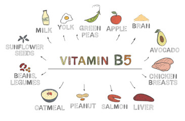 Vitamin B5 (Pantothenic Acid). Foods rich in b5, natural products, fruits, vegetables on white background. Healthy lifestyle concept