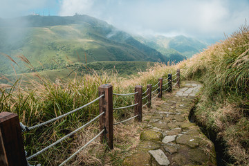 Landscape of walkway to climb up the mountain among grass flowers at Yangmingshan national park in Taiwan