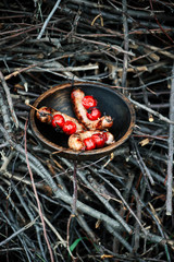 grilled sausages with cherry tomato.style rustic