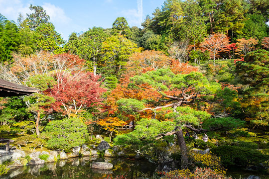 Scenery beautiful garden in Ginkakuji temple or the Silver Pavilion area in Autumn foliage season, landmark and famous for tourist attractions. Kyoto, Japan