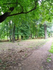 path in the park