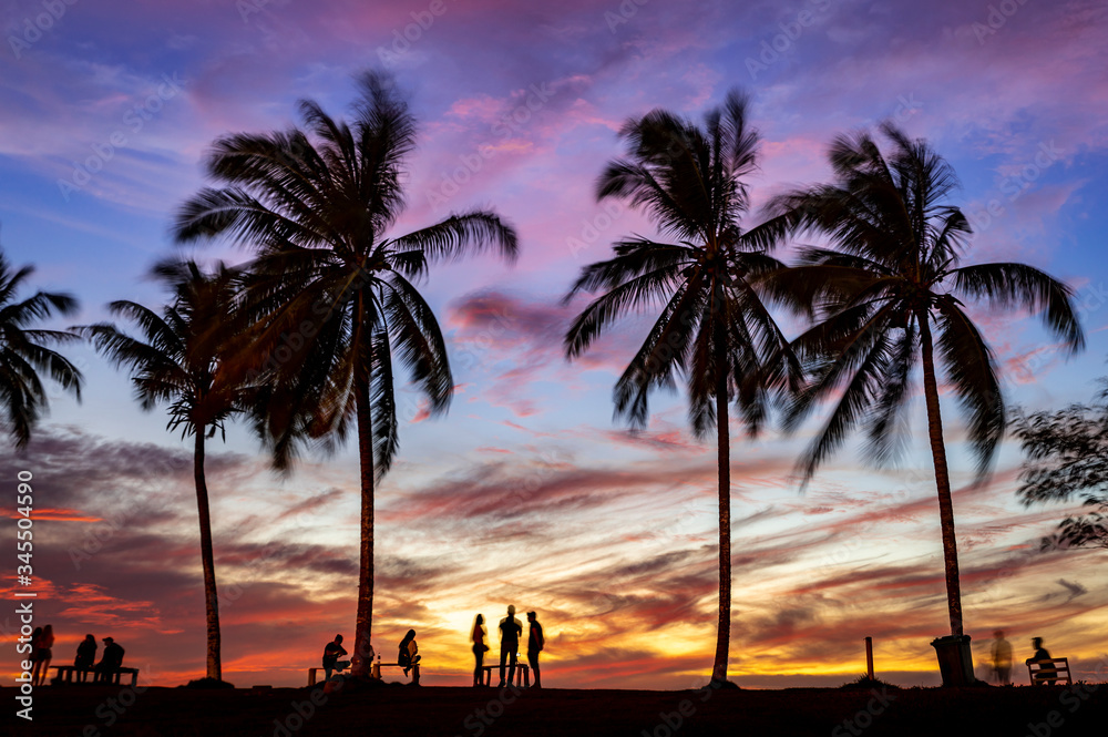 Wall mural sunset with palm trees at the beach - Wall murals