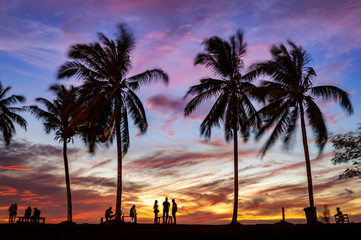 sunset with palm trees at the beach
