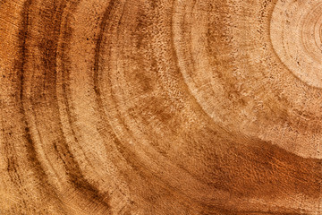 Wooden detailed texture of cut tree trunk or stump, closeup. Tree trunk cross-section. Top view, macro, close up