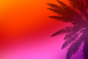 Abstract blurred background of several colors and the shadow of palm branches. Can be used as wallpaper. Tropics concept. Flat lay, top view