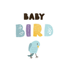 Vector illustration of bird and hand drawn lettering, Baby bird. Colorful typography design in Scandinavian style for postcard, banner, t-shirt print, invitation, greeting card, poster, graphic design