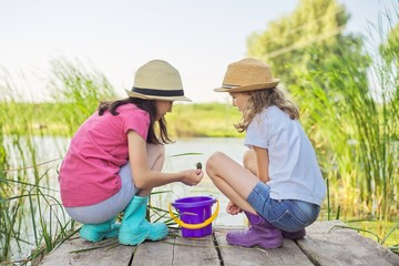 Kids girls sitting on wooden pier, catching water snails in bucket