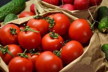 Fresh vegetables from farmers market. Cucumbers, tomatoes, radish. Pickle cucumbers. Organic vegetables. Salad ingredients.