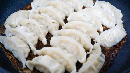 焼き立ての餃子