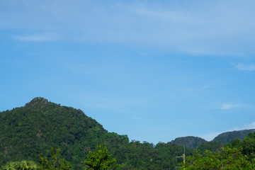 Beautiful green mountain landscape with tropical summer palm trees & electricity post in morning sunlight & sun rays on sunny blue sky background with white cirrus clouds & cloudscape, copy free space