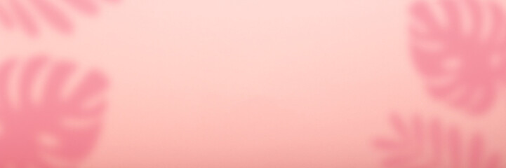 Abstract pink background and shadow of tropical monstera plant. Can be used as wallpaper or background. Banner. Flat lay, top view