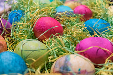 Easter Eggs in Paper Grass
