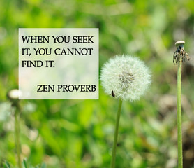 Zen quotes to feel peaceful text sign on dandelion flowers background. Card for believers....
