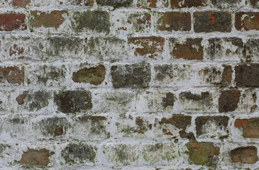 old brick wall