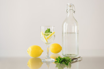 Sparkling mineral water with fresh mint leaves and lemon slice on glass table. Detox cocktail