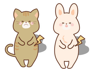 お腹が痛いうさぎと猫　セット