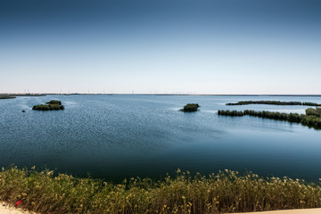 The Yellow Lake in the Desert of the Kingdom of Saudi Arabia