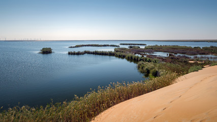 The Yellow Lake in the Desert of the Kingdom of Saudi Arabia
