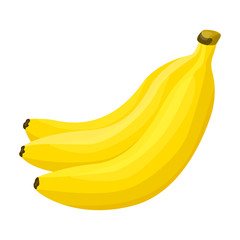 Bunch banana vector icon.Cartoon vector icon isolated on white background bunch banana.