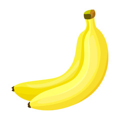 Bunch banana vector icon.Cartoon vector icon isolated on white background bunch banana.