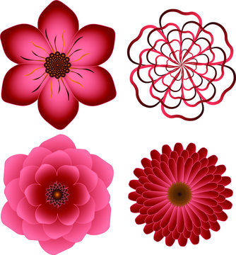 Pink Vector Flowers Set 