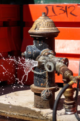 Naklejka na ściany i meble Close-up Of Fire Hydrant