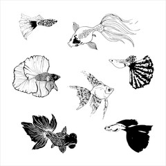 Set of black and white images of swimming fish drawn by the branch. Stylized tattoo images. Beautiful outline in animalistic style.