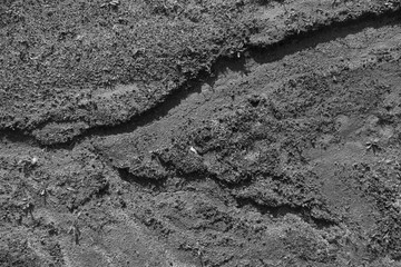 dry river