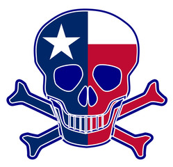 Texas Flag Skull