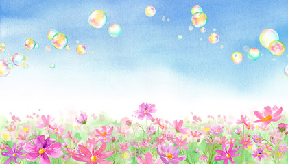 満開のコスモス畑とシャボン玉の風景、水彩イラスト