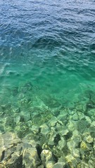 Wasser See Leben Grün Grüne Wasser