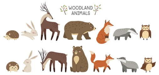 Woodland animals. Set of cute forest animals. Vector illustration.
