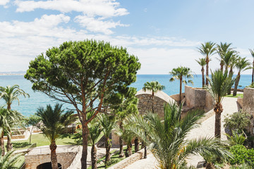 Fototapeta premium gardens of the Pope Luna's Castle , Peñiscola, Castellon, Spain