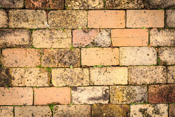 Old. weathered red bricks with plants growing between them
