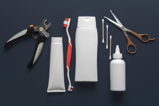 Diverse basic tools for dogs or cats grooming for mock up on a gray blue background