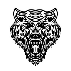 Wolf head vector isolated detailed illustration