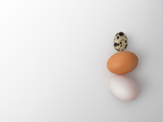 Characteristic of three type eggs: chicken egg, duck egg, and quail egg on white background.
