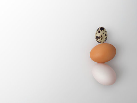 Characteristic of three type eggs: chicken egg, duck egg, and quail egg on white background.