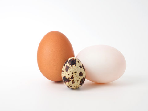 Characteristic of three type eggs: chicken egg, duck egg, and quail egg on white background.