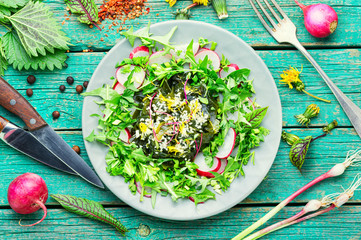 Salad with seaweed and herbs