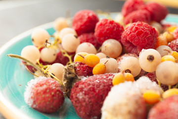 Set of frozen summer berries. Vitamin dessert in  winter.