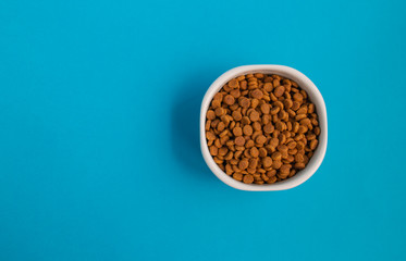 white cup full with animal food for cats cats dogs