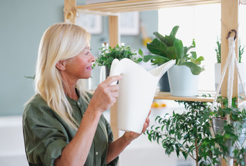 Attractive senior woman watering plants indoors at home.