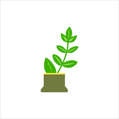 small green plant flat design illustration