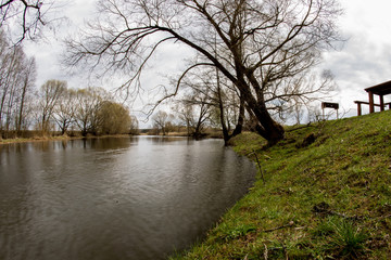 panorama of the belarusian river in early spring. April 2020