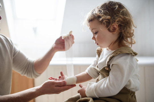 Father putting bandage on small hurt toddler child indoors at home.