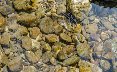 Stone under crystal clear water of  Ganga River at Rishikesh
