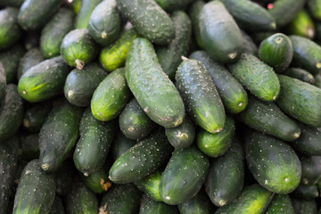 cucumbers on market counter in wicker basket