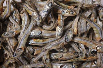 小魚　煮干し